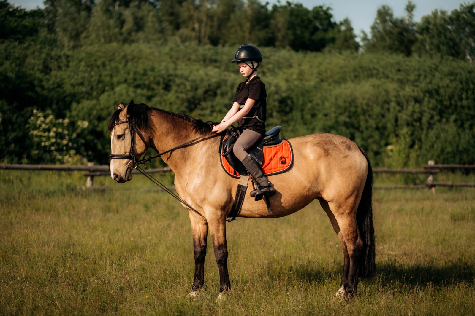 Jahanje je nekaj kar je mojo nečakinjo res zelo zanimalo